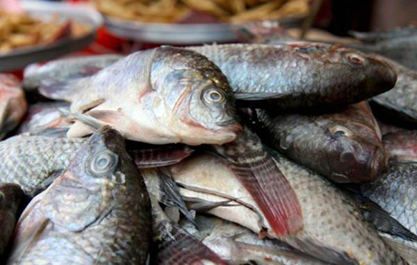Puesto de venta de pescados_mateare_cultura_gal2